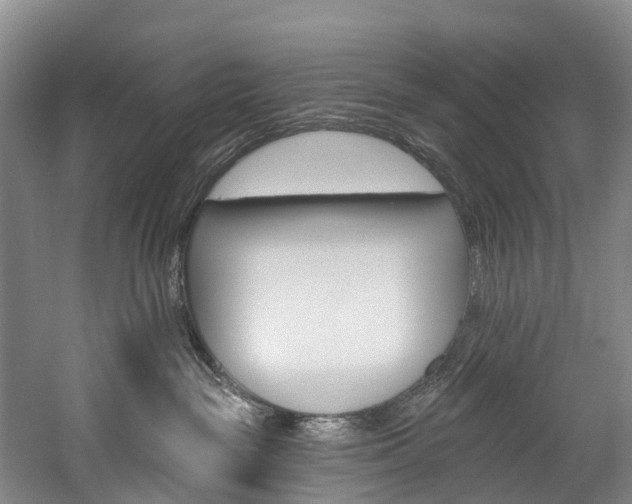 X0000060270189200510281045