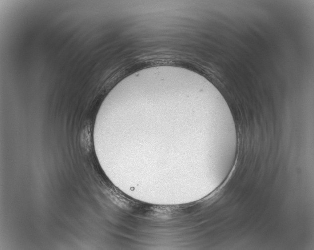 X0000060270190200510281045
