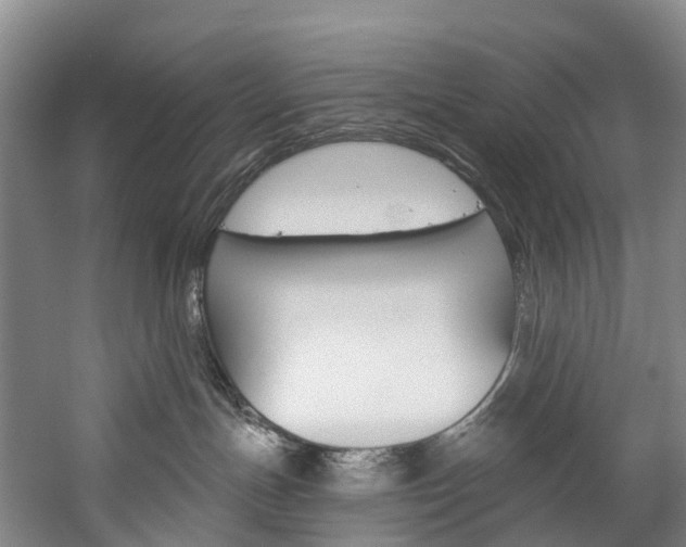 X0000060270191200510281045