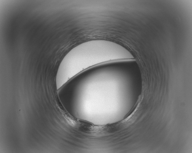 X0000060270192200510281045