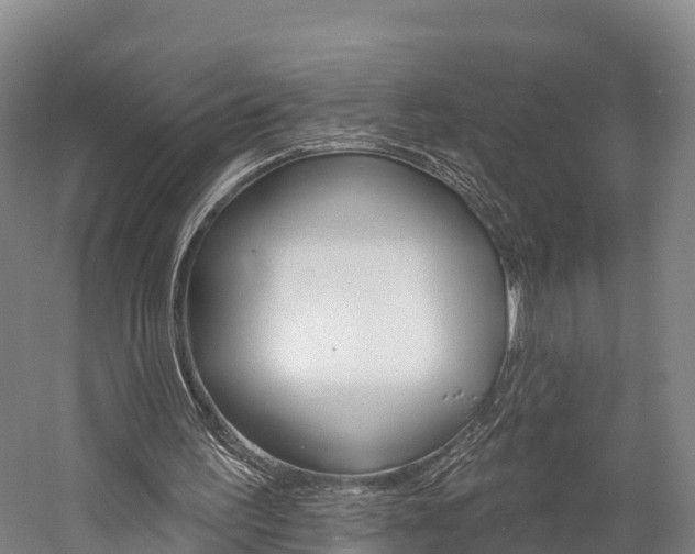X0000060270195200510281044