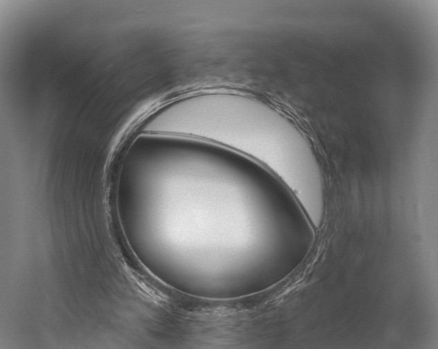 X0000060270197200510281044