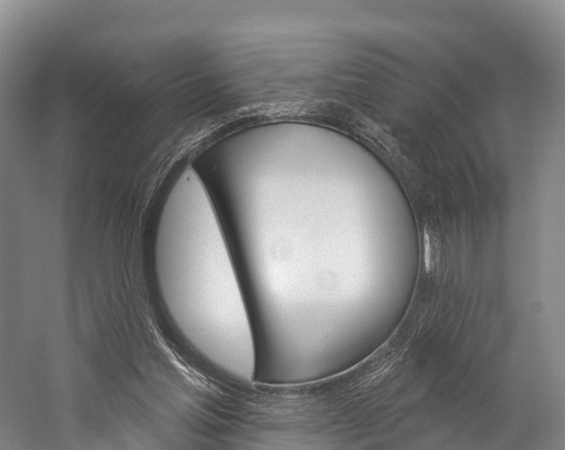 X0000060270205200510281044