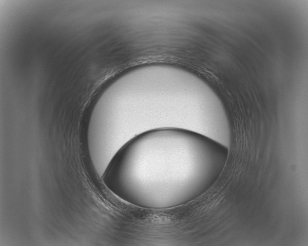 X0000060270207200510281044