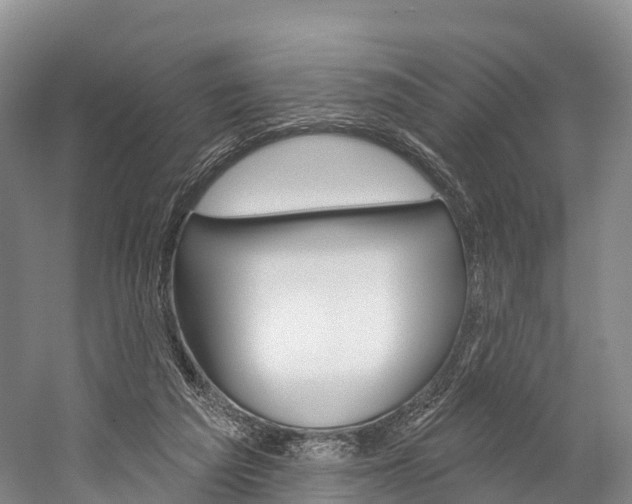 X0000060270209200510281043