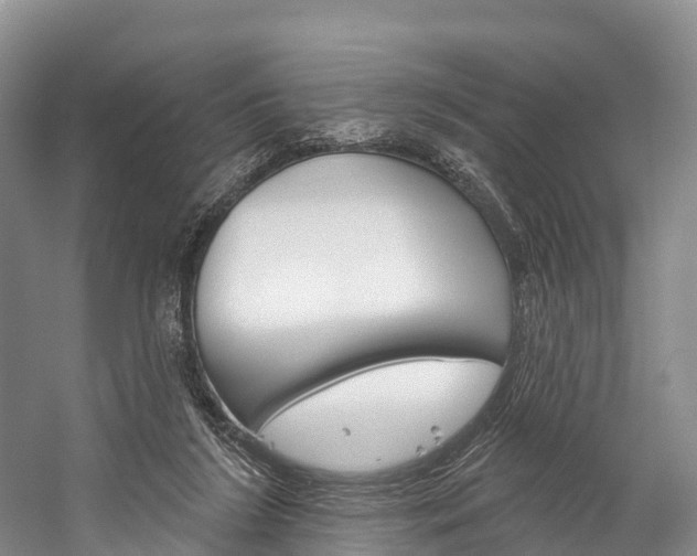 X0000060270212200510281043