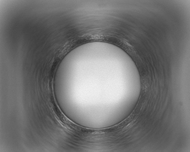 X0000060270213200510281043