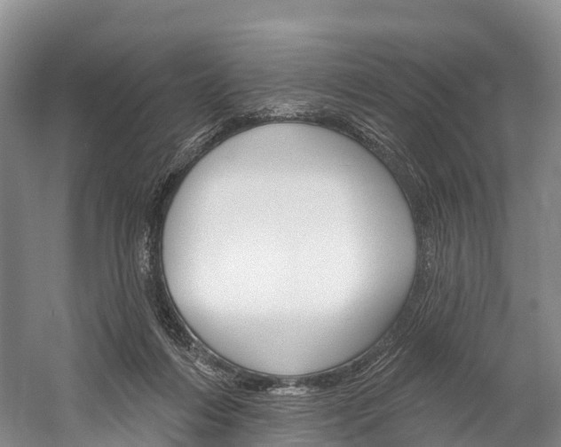 X0000060270216200510281043