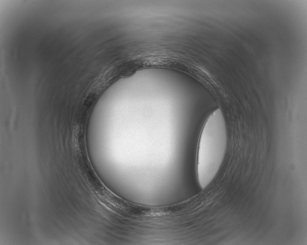 X0000060270217200510281043