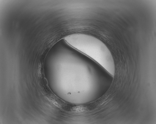 X0000060270219200510281043
