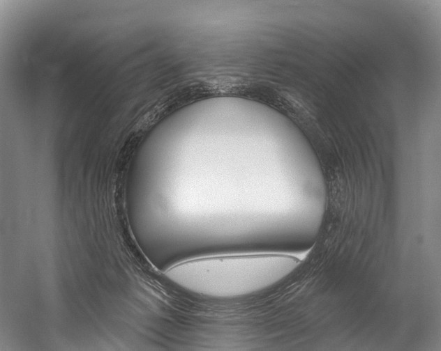 X0000060270221200510281043