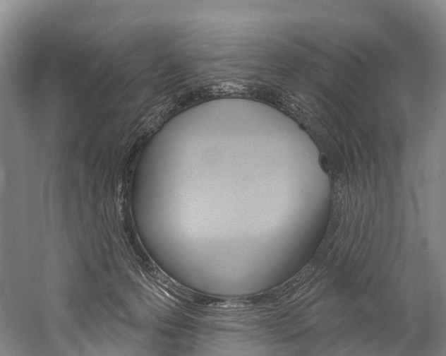 X0000060270223200510281043