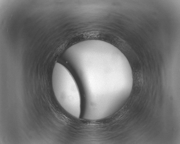 X0000060270224200510281043