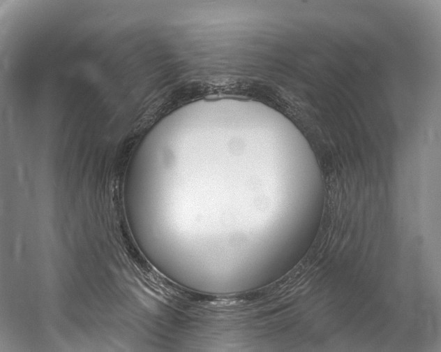 X0000060270225200510281043