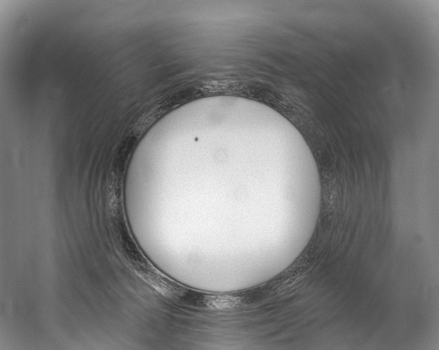 X0000060270226200510281043