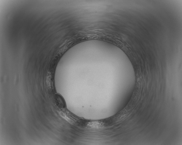 X0000060270231200510281043