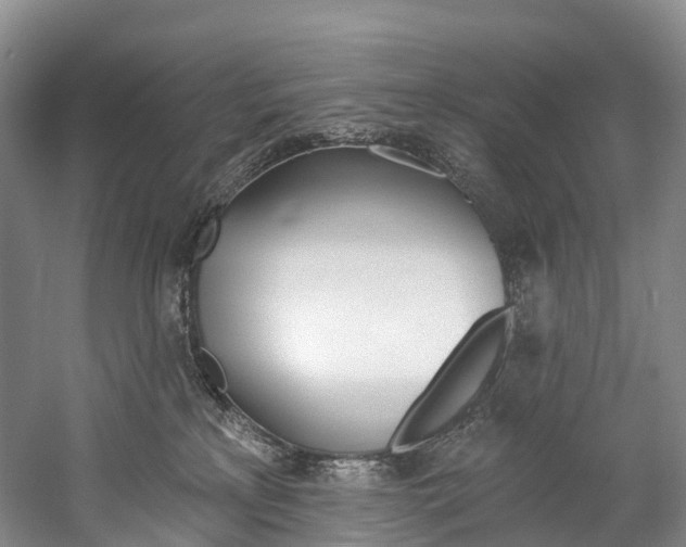 X0000060270233200510281043