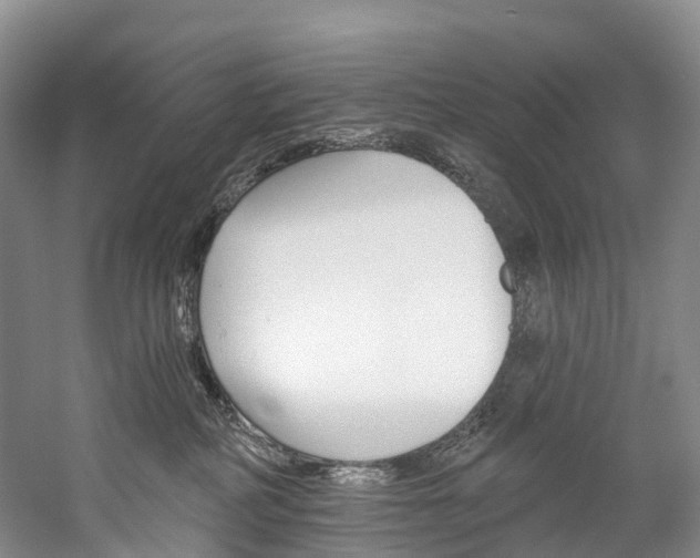 X0000060270234200510281043