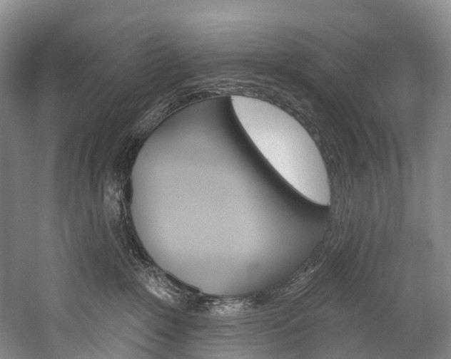 X0000060270235200510281043