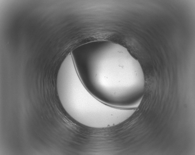 X0000060270237200510281043