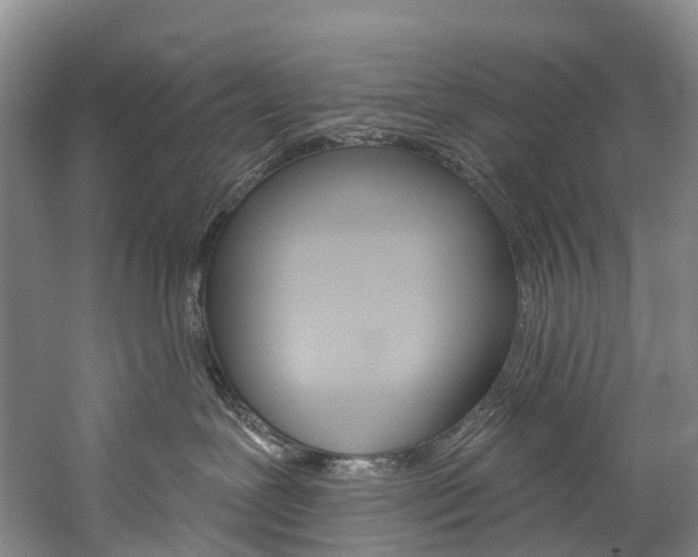 X0000060270239200510281043