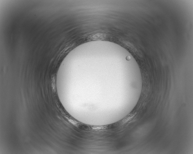 X0000060270240200510281043