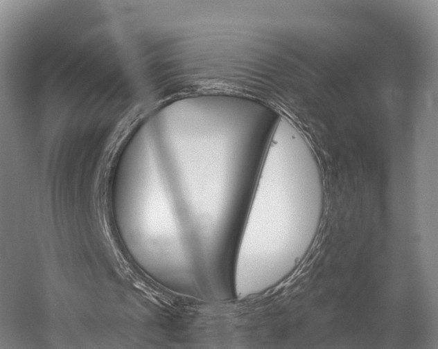 X0000060270241200510281042