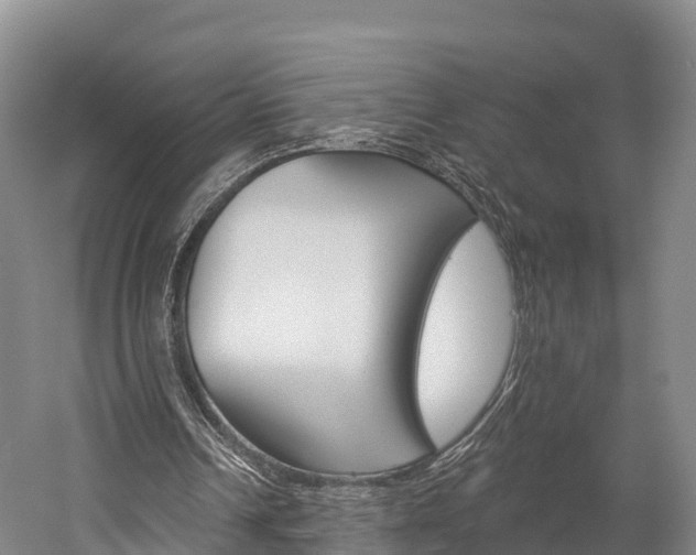 X0000060270242200510281042