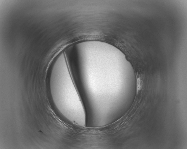 X0000060270243200510281042