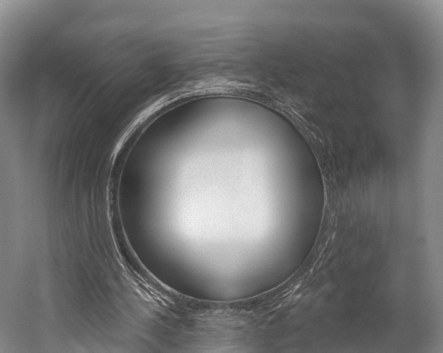 X0000060270244200510281042