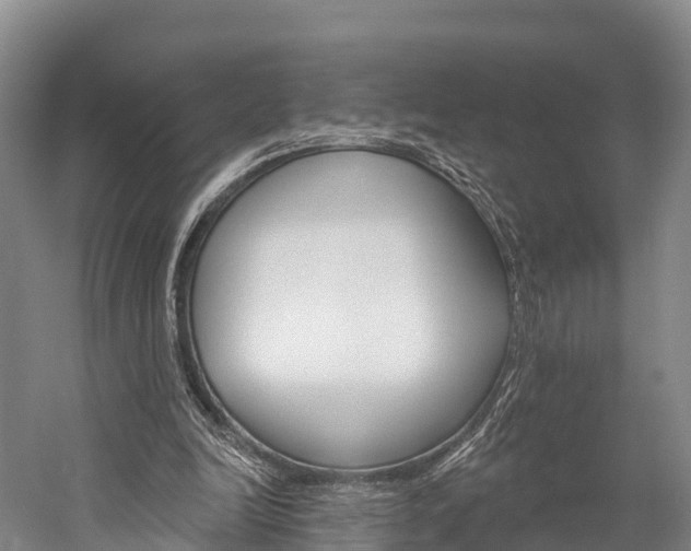 X0000060270246200510281042