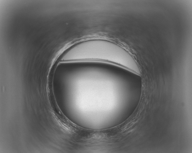 X0000060270248200510281042