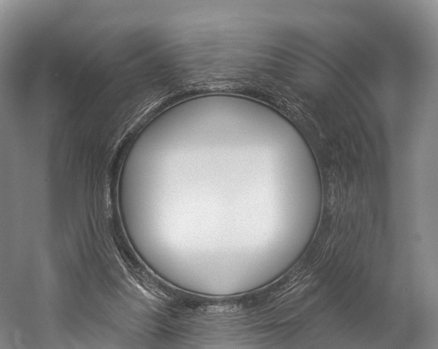 X0000060270251200510281042