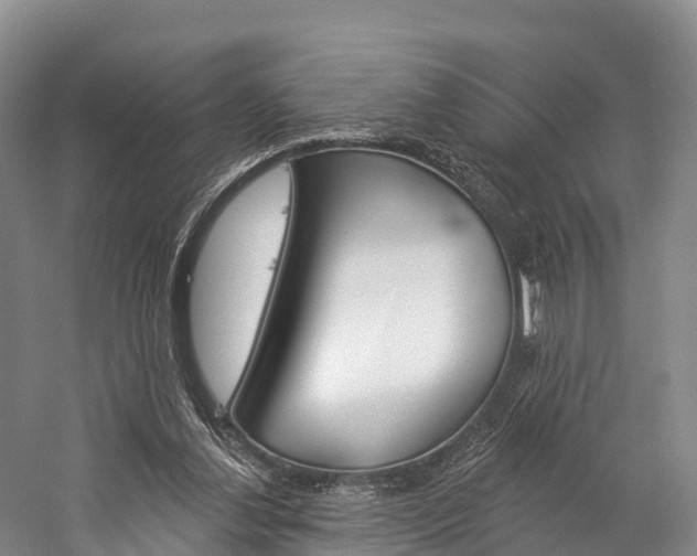 X0000060270252200510281042