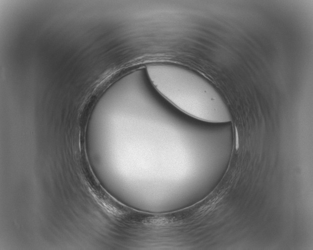 X0000060270253200510281042