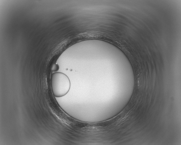 X0000060270254200510281042