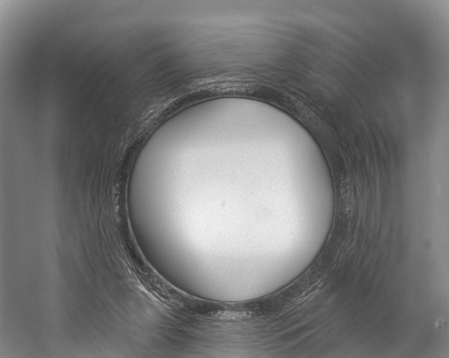X0000060270255200510281042
