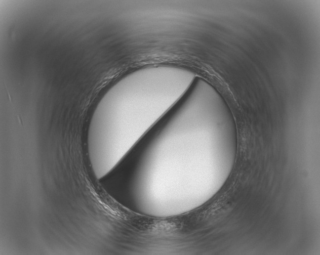 X0000060270257200510281042