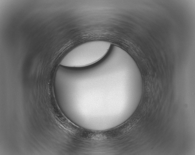 X0000060270258200510281042
