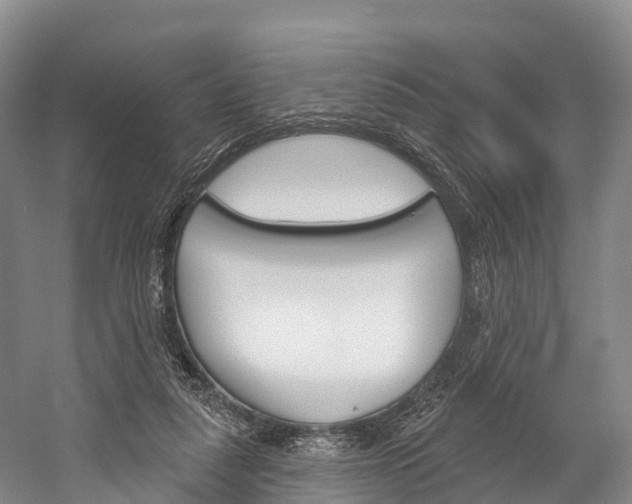 X0000060270259200510281042