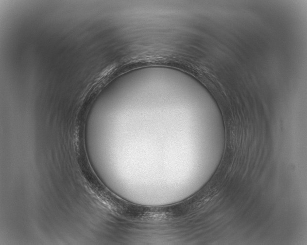 X0000060270260200510281042