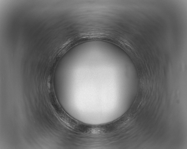 X0000060270264200510281043