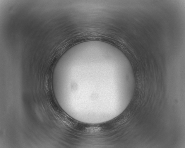 X0000060270266200510281043