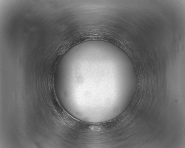 X0000060270272200510281043