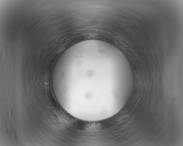 X0000060270274200510281043