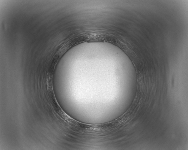 X0000060270276200510281043