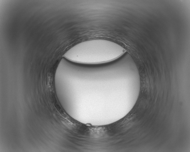 X0000060270281200510281043