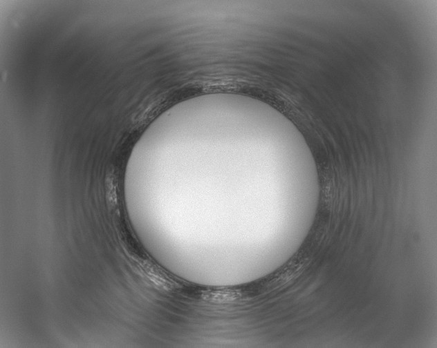 X0000060270282200510281043