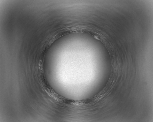 X0000060270284200510281043