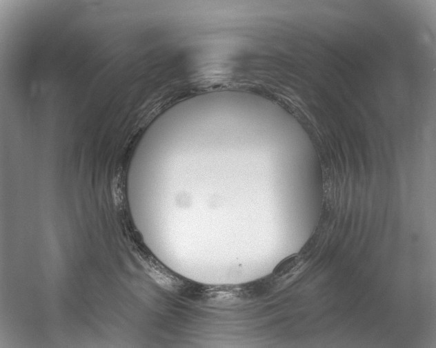 X0000060270285200510281043